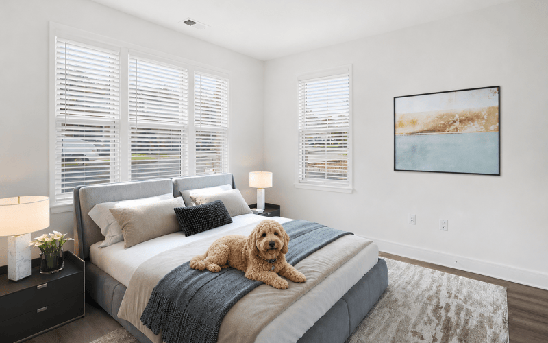 Your Apartment